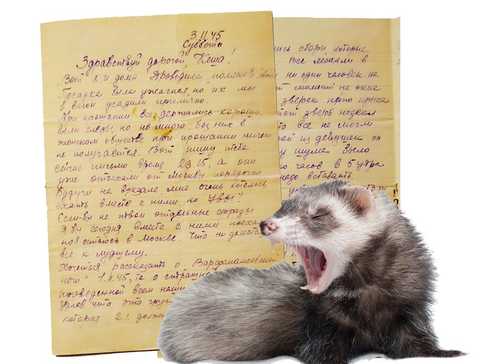 Ужасная ночь в казарме школы военных переводчиков