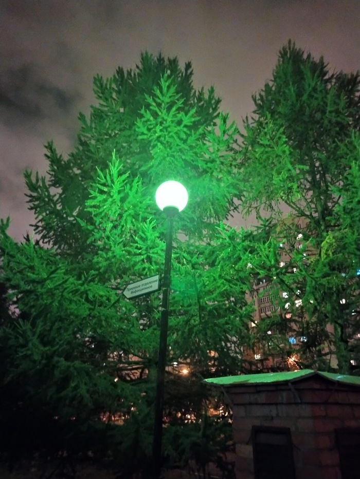 Ночь, фонарь, больница