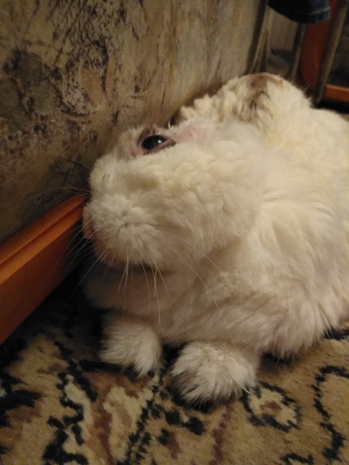 ��� ����!