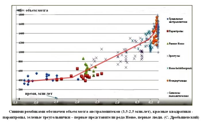 Эволюция человека и человеческих мозгов Теория эволюции, Эволюция, Антропогенез, Наука, Познавательно, Гифка, Длиннопост