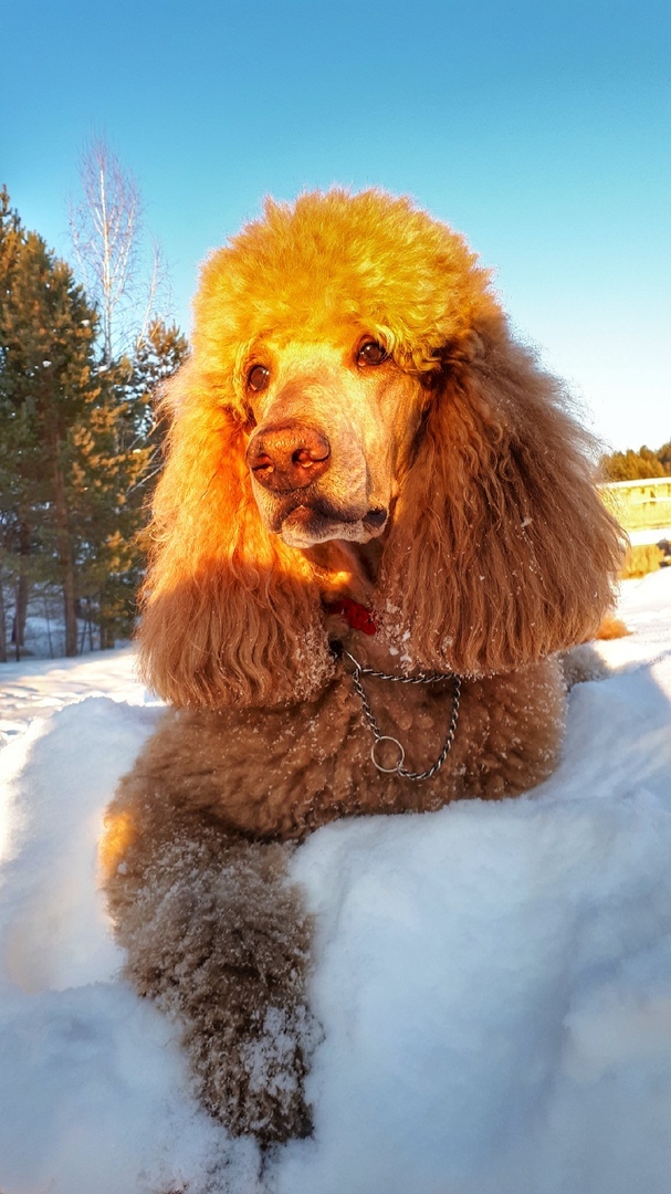 Солнечный мальчик