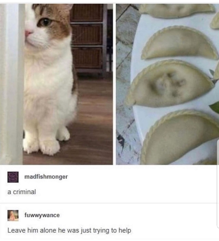 � ����� ���� ����� ������