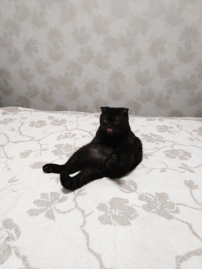 �� ���, �������, � ���