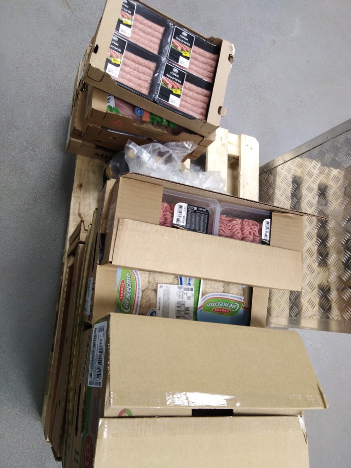 ������������ ��������