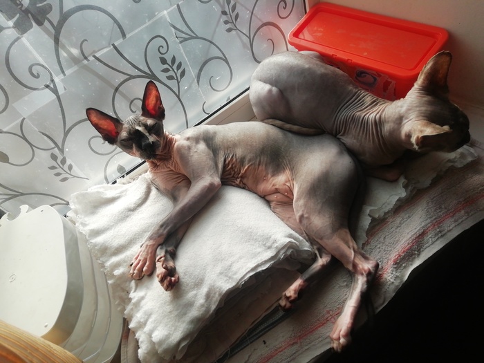 Чё смотришь? Вали на свою работу