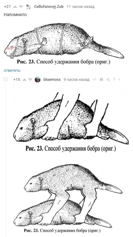 Ну пожалуйста я вас способу бобра научу. Способ удержания бобра. Метод удержания бобра. Схема удержания бобра. Как удержать бобра.