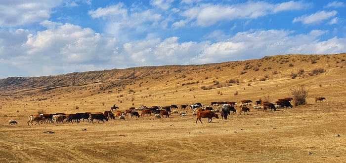 Лисье озеро