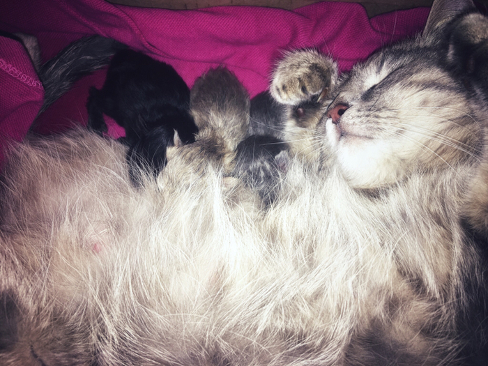 ������, ���� �����?