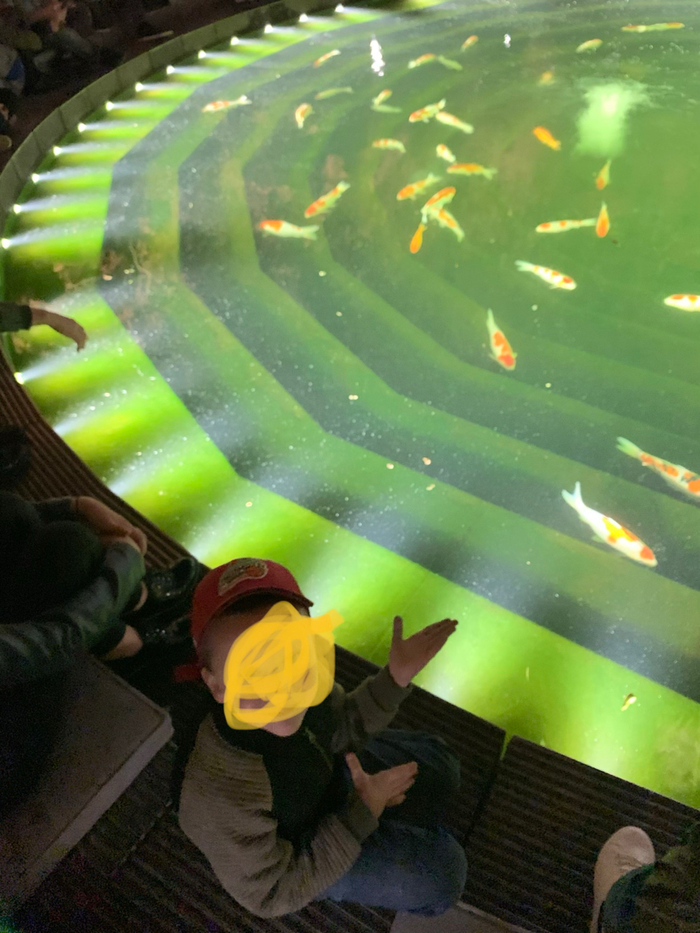 � �����, �������������...