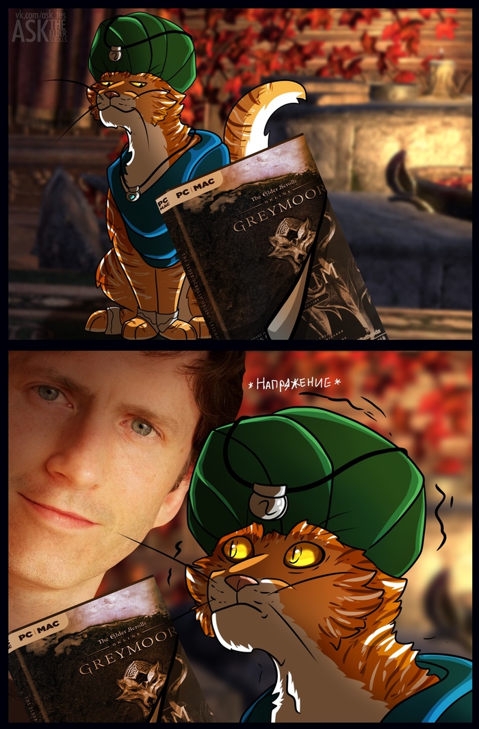 ���� �������