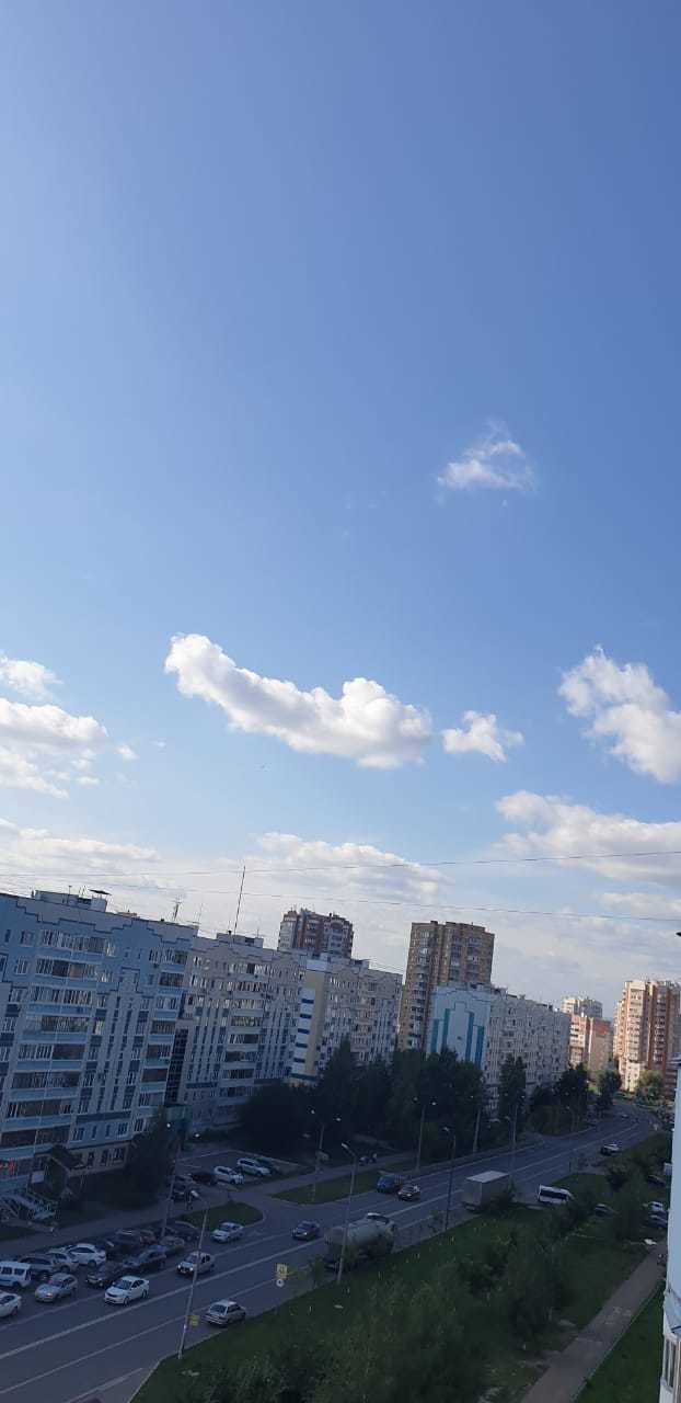 Все видят Пегасов, котиков