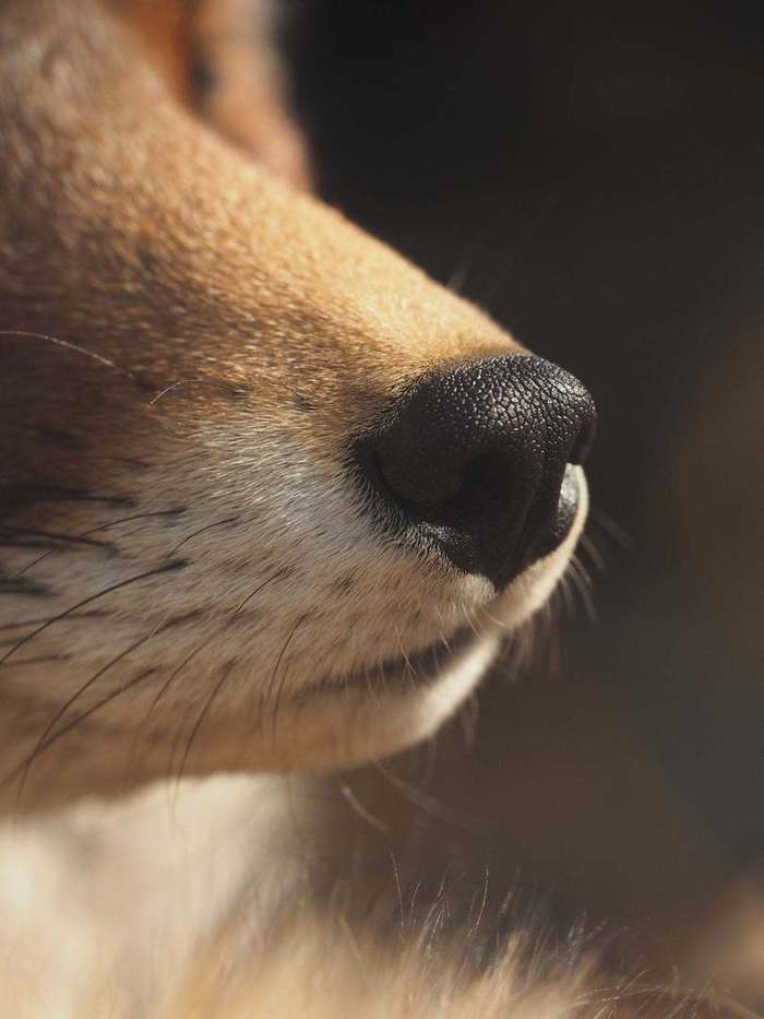 ��� ����