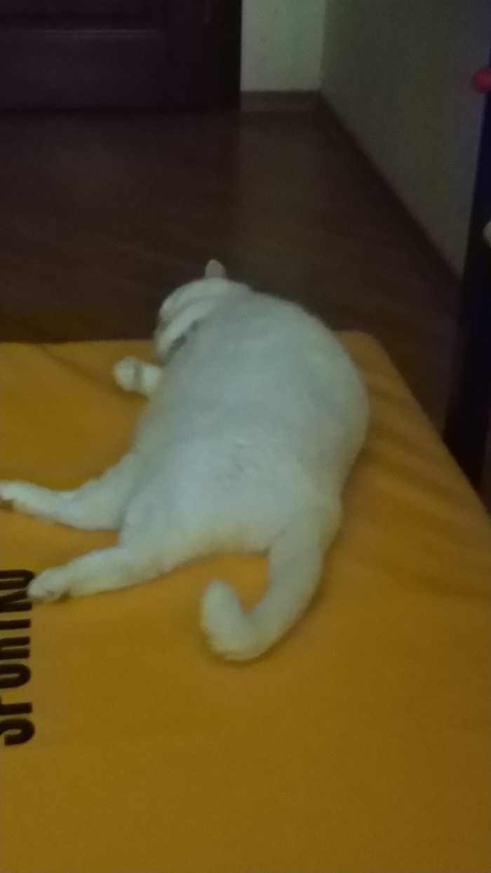  , , 