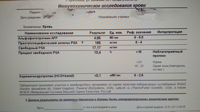 Результаты анализов пса