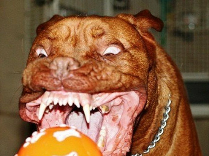 ������-������� :)