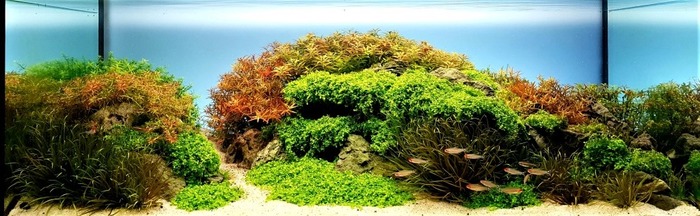 Хорошая работа!