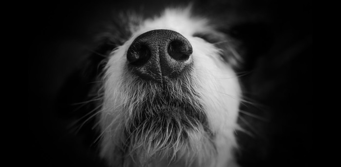 ��� ������ �������� ��� ������������ ��������