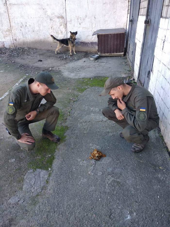 ������������, ������� ����� �� ������. �������:"����" ������ �� ���������� �������