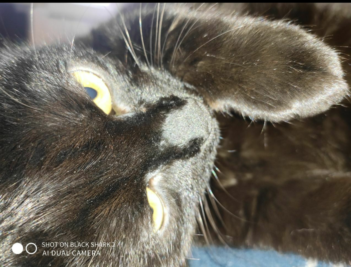 ����� � ��� )