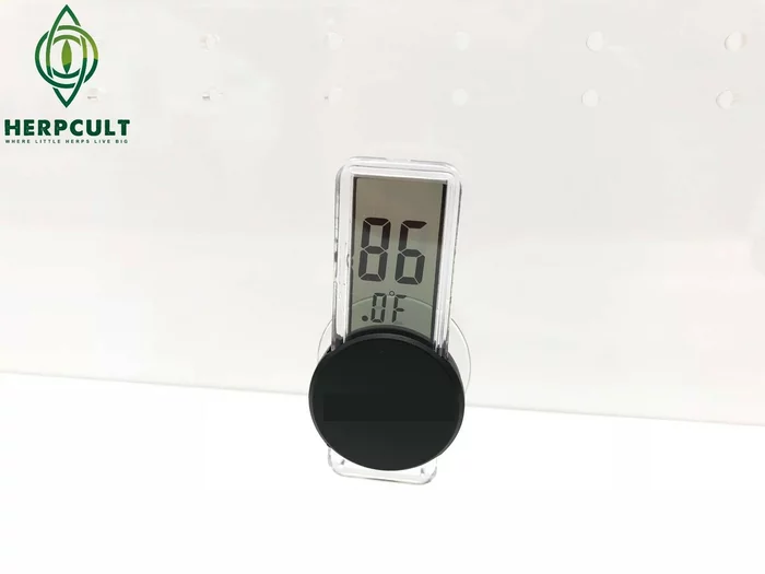 Что это за штука - 83 Перевел сам, Reddit, WhatIsThisThing, Видео, Длиннопост