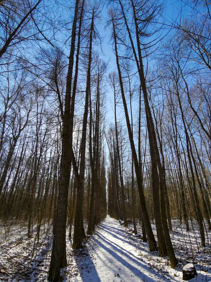 Фото дзержинск весной