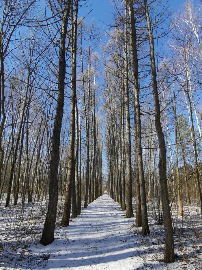 Фото дзержинск весной