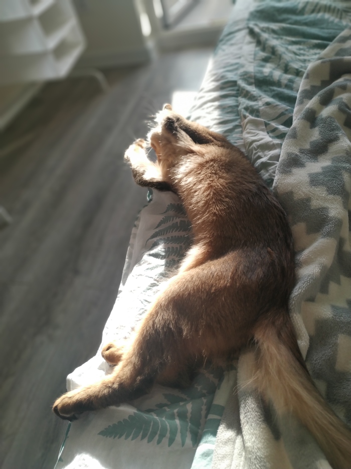     ,    ,  , ,  