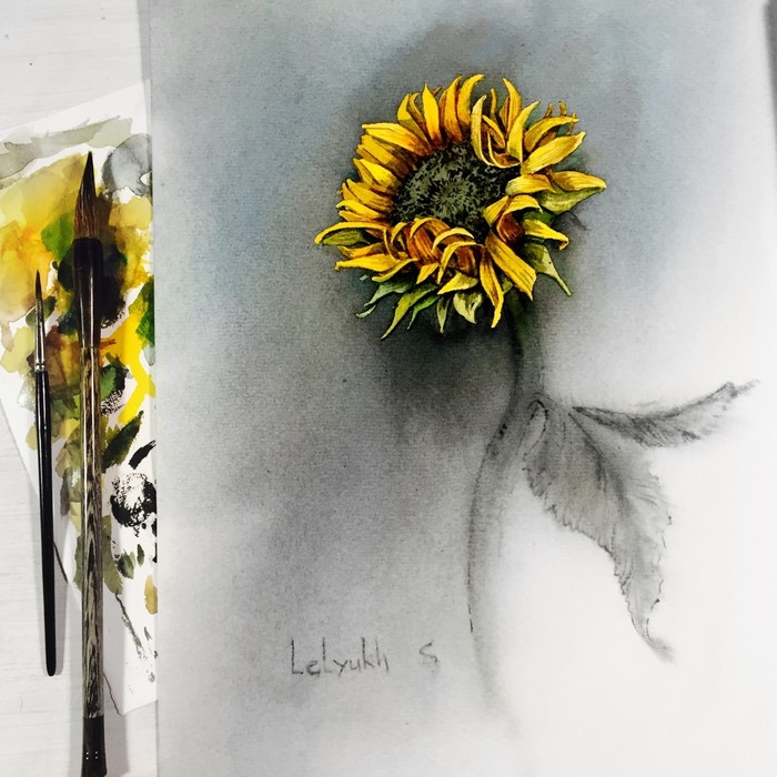 Подсолнух, акварель