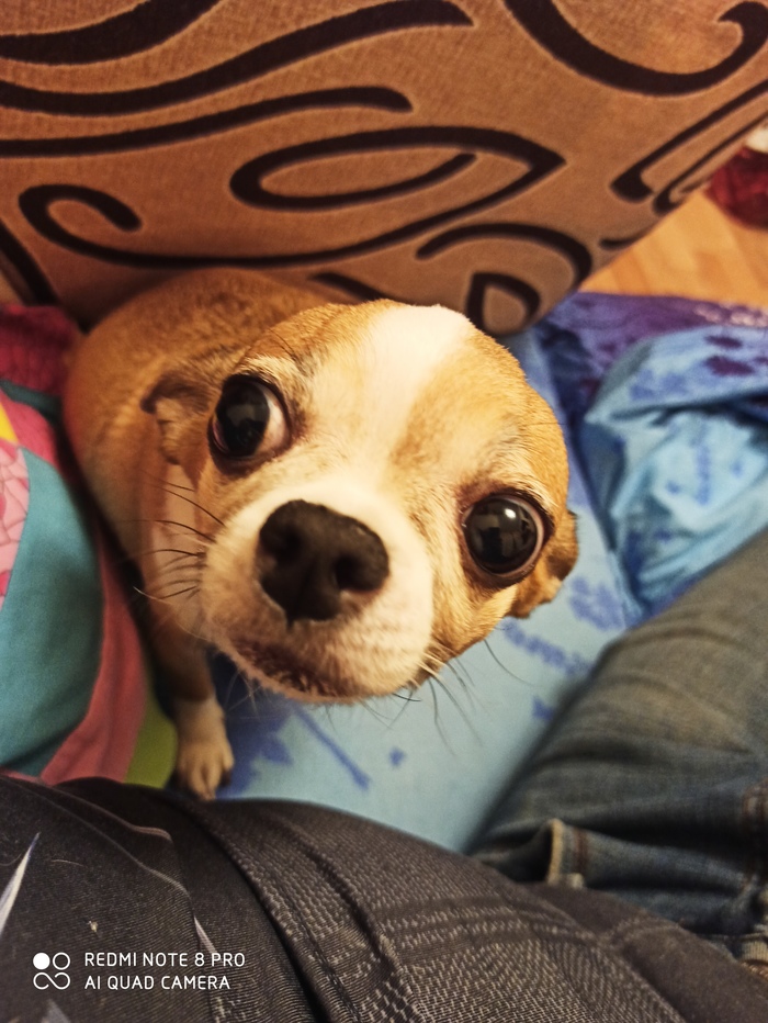 Профессиональный нищий