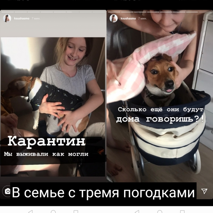 ���� ����� + �������� + �������� = ...