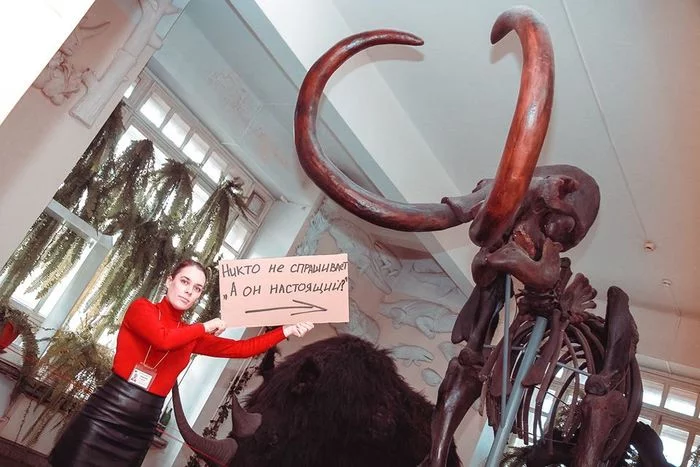 Музей во время карантина Красноярск, Краеведческий музей, Флешмоб, Юмор, Фотография, Карантин, Длиннопост
