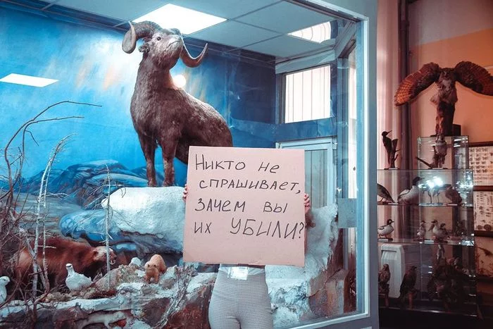 Музей во время карантина Красноярск, Краеведческий музей, Флешмоб, Юмор, Фотография, Карантин, Длиннопост
