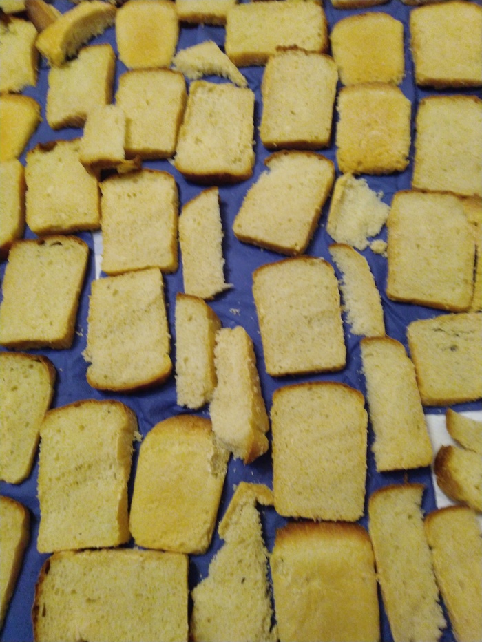 Я не паникую и сушу сухари, а вы?