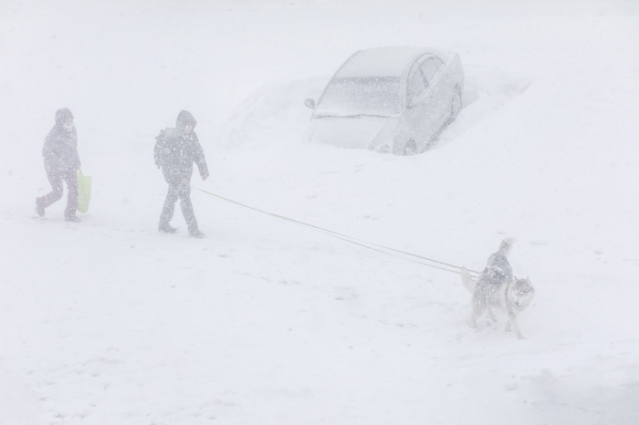 ������ ������: "������ ����"