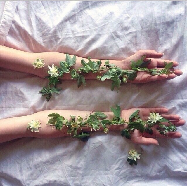 ������ �� ���