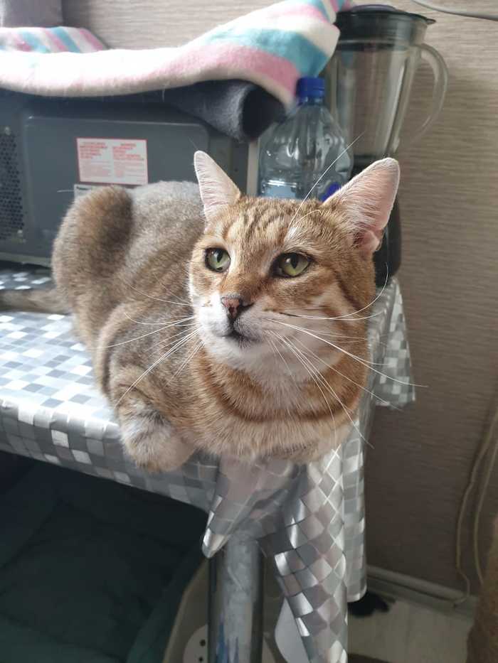 ������� ���������� ������...