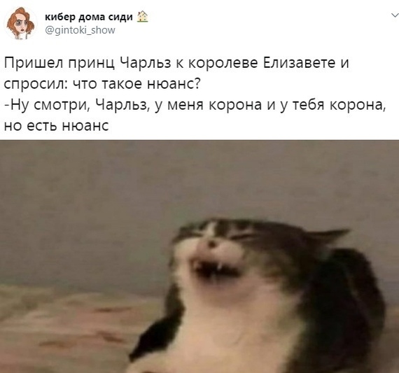 Нюанс | Пикабу