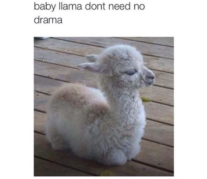 ����� ����!)