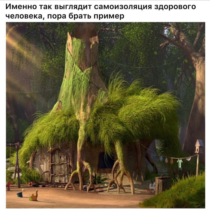 Самоизоляция