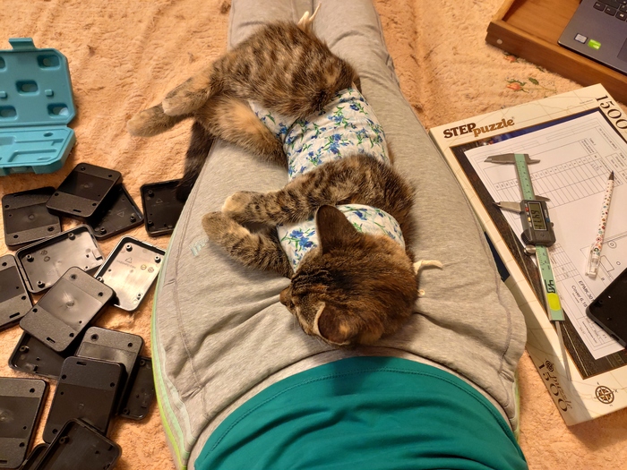 Попытка работать дома