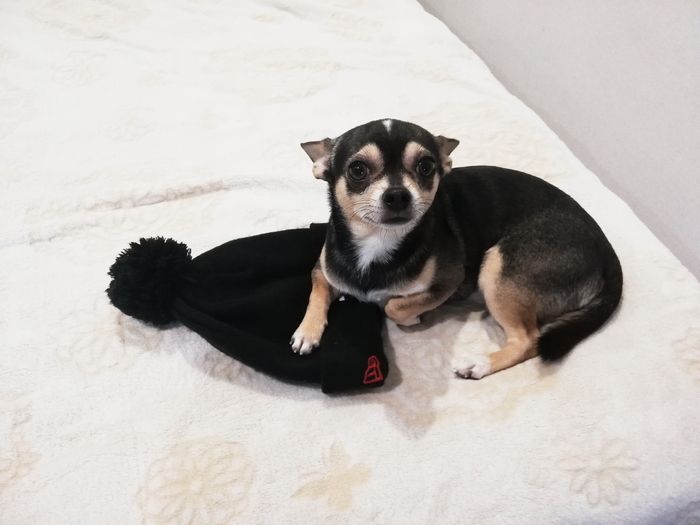 Оставайся дома, пожалуйста!