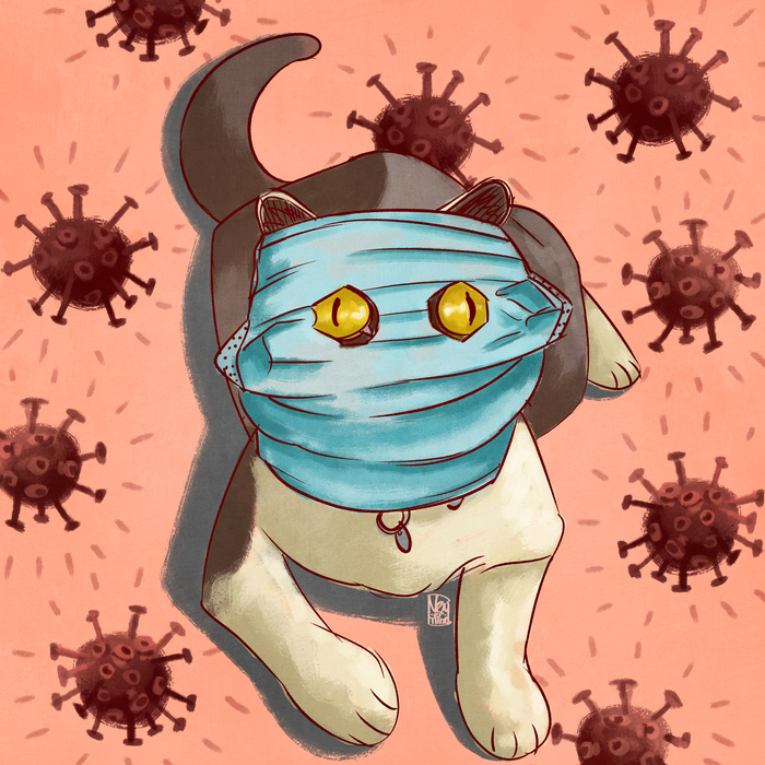 ����-�������� ���