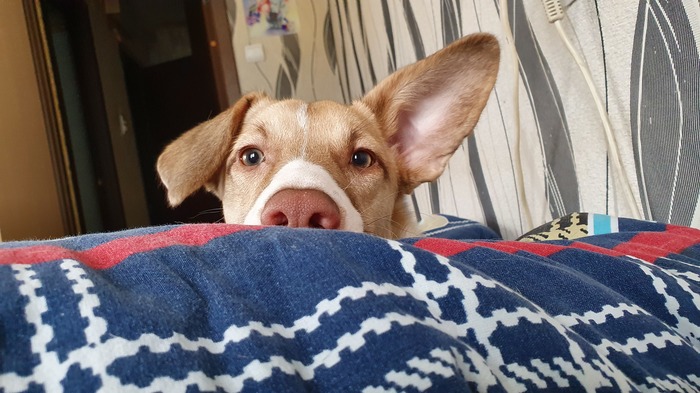 ����� ������������ ��������� ���