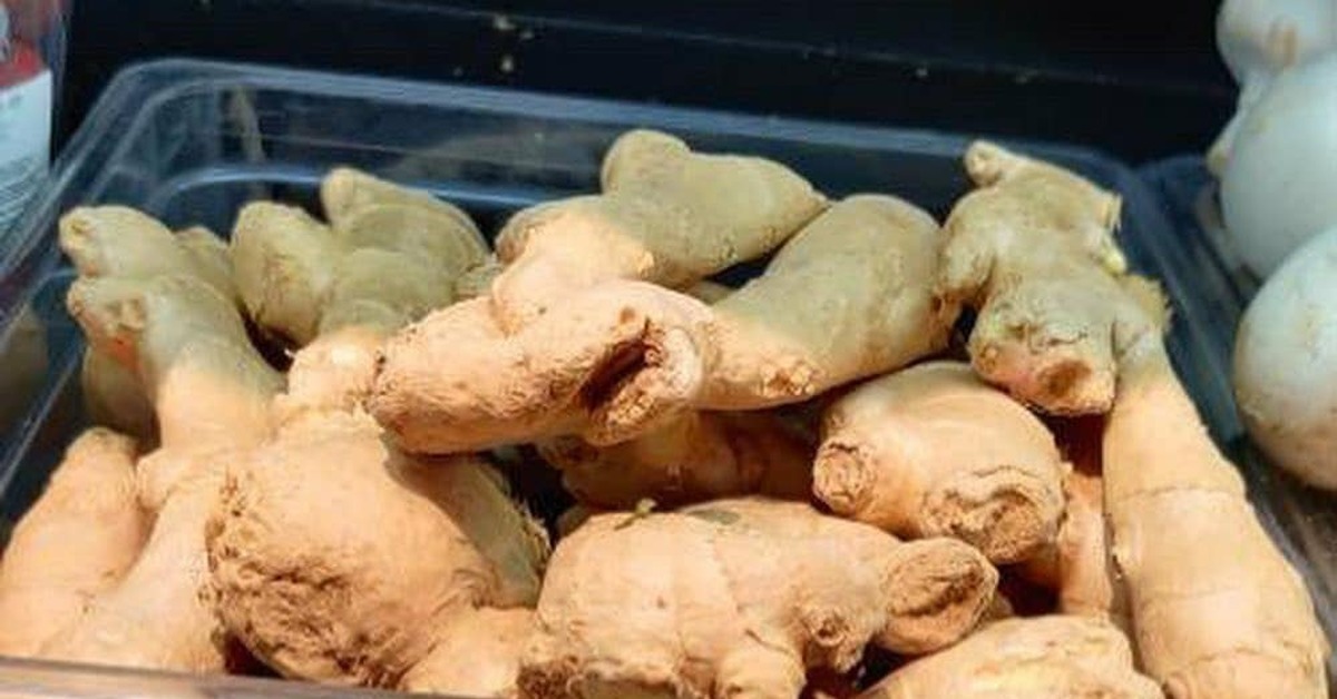 Тюльпаномания | Пикабу