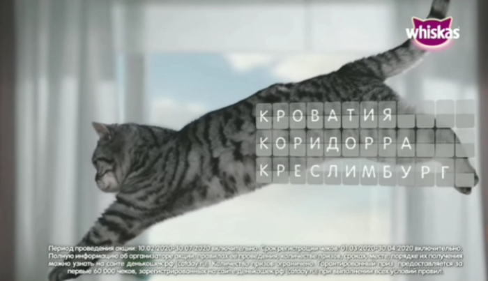 Направления, которые доступны для меня в этом месяце