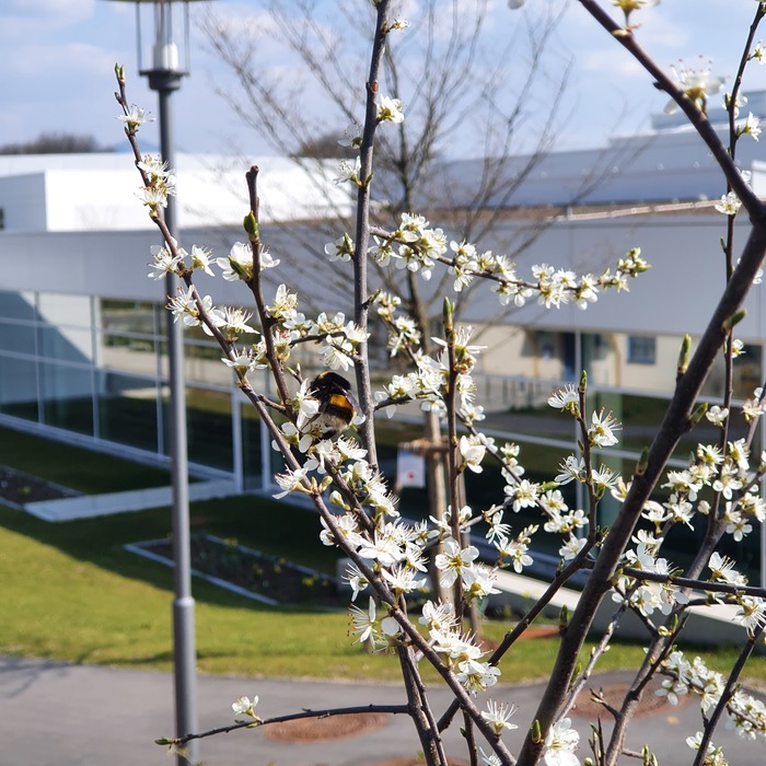 �������� �������� ����