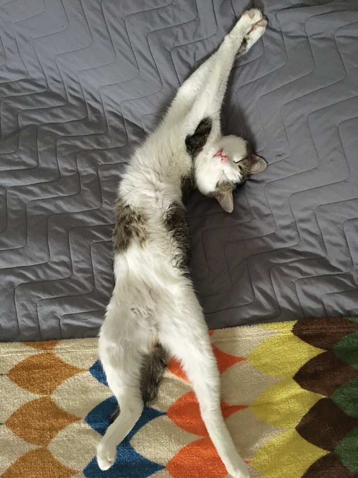 ��� ���������