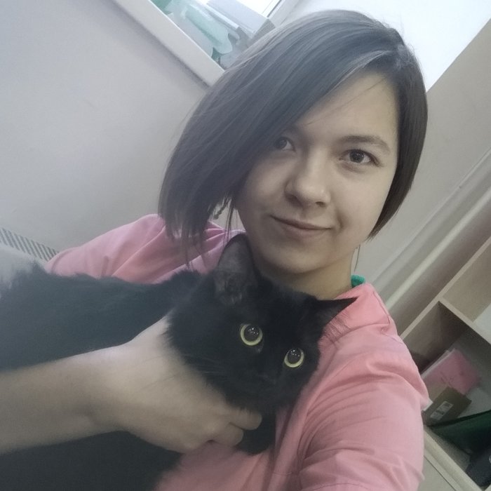 ����� ��������