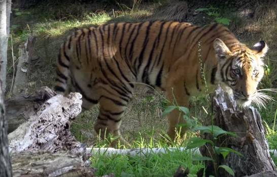 ����� � �������� ������� ������������ �� �����������