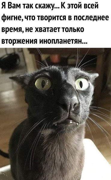 ���� �� �� �������...